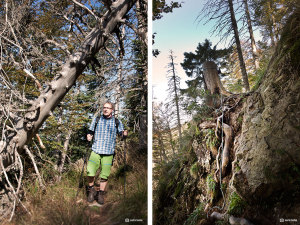 Auf dem Alpiner Pfad Feldberg