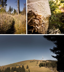 Alpiner Pfad Feldberg, gegen Ende