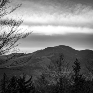 Blick vom Staldenkopf
