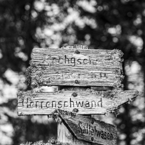 Hochgescheid | 1205 Meter