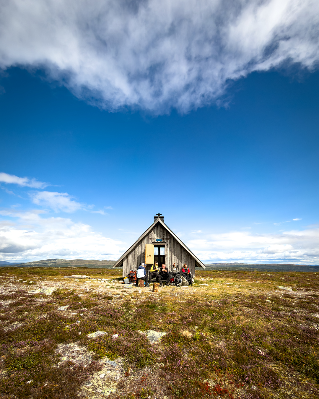 groena_bandet_003