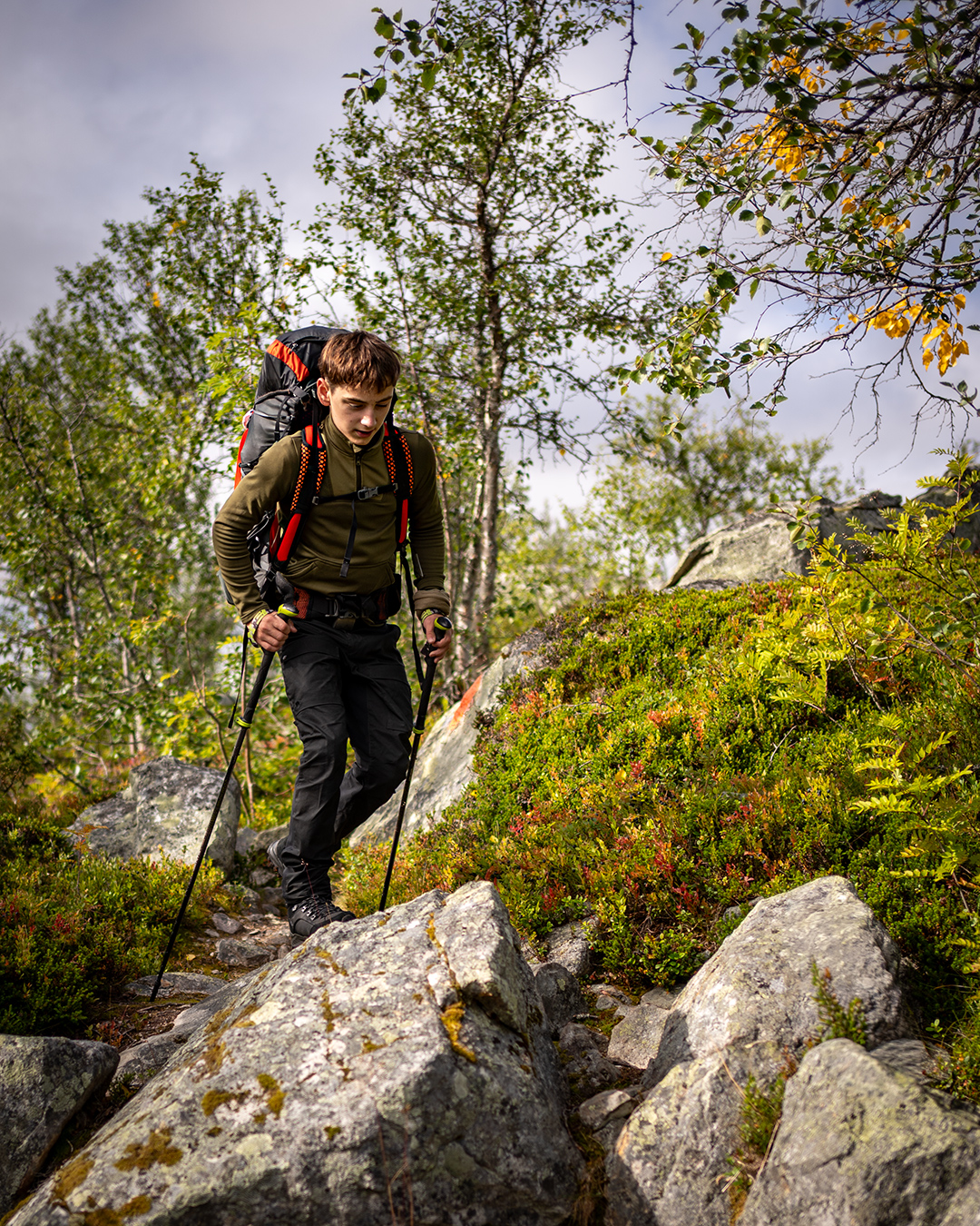 groena_bandet_006