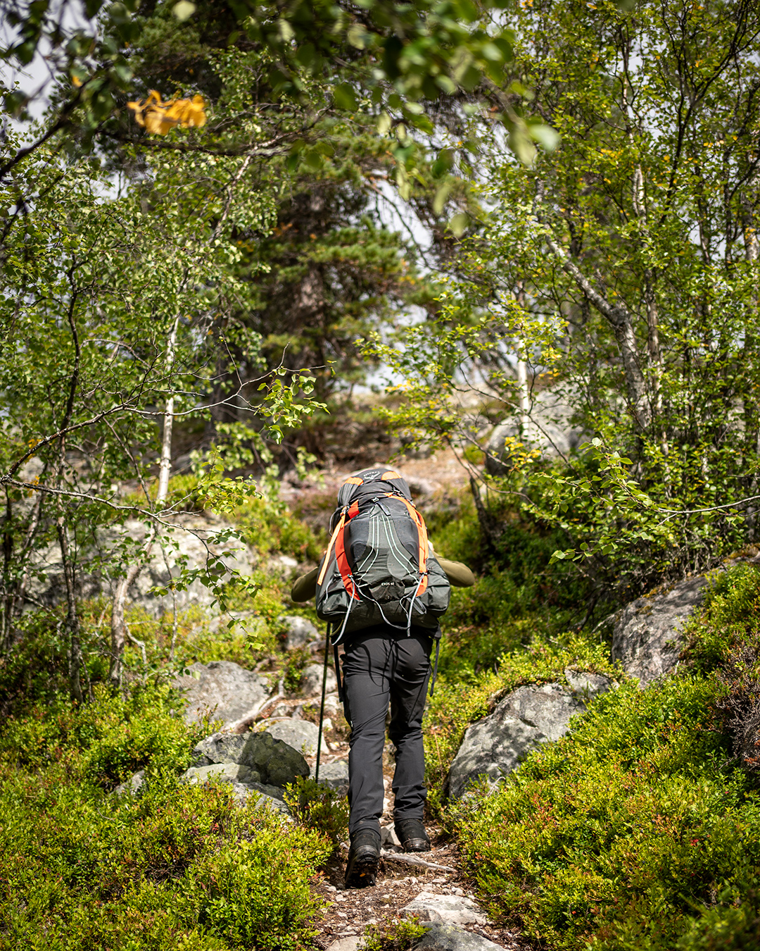 groena_bandet_010