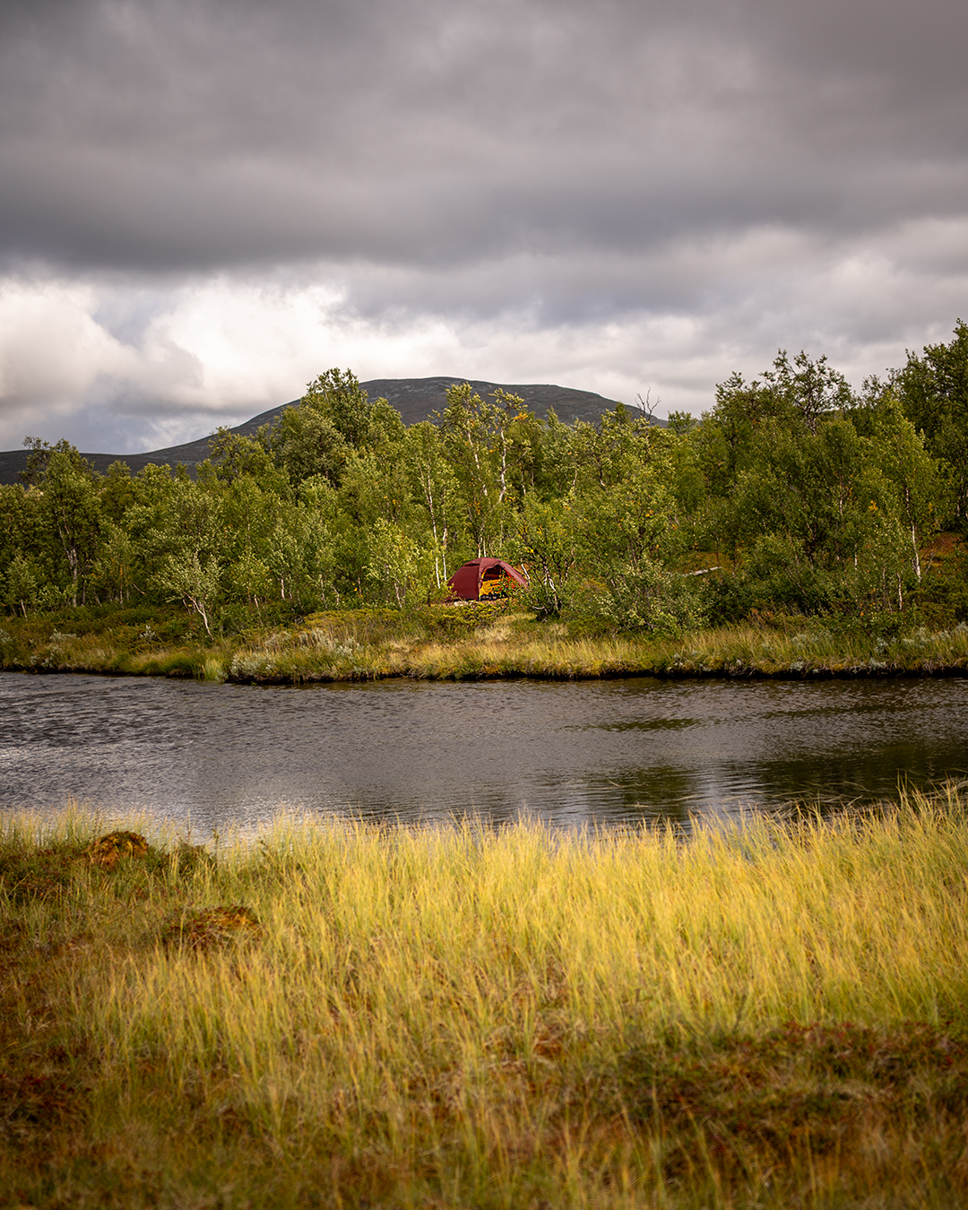 groena_bandet_016