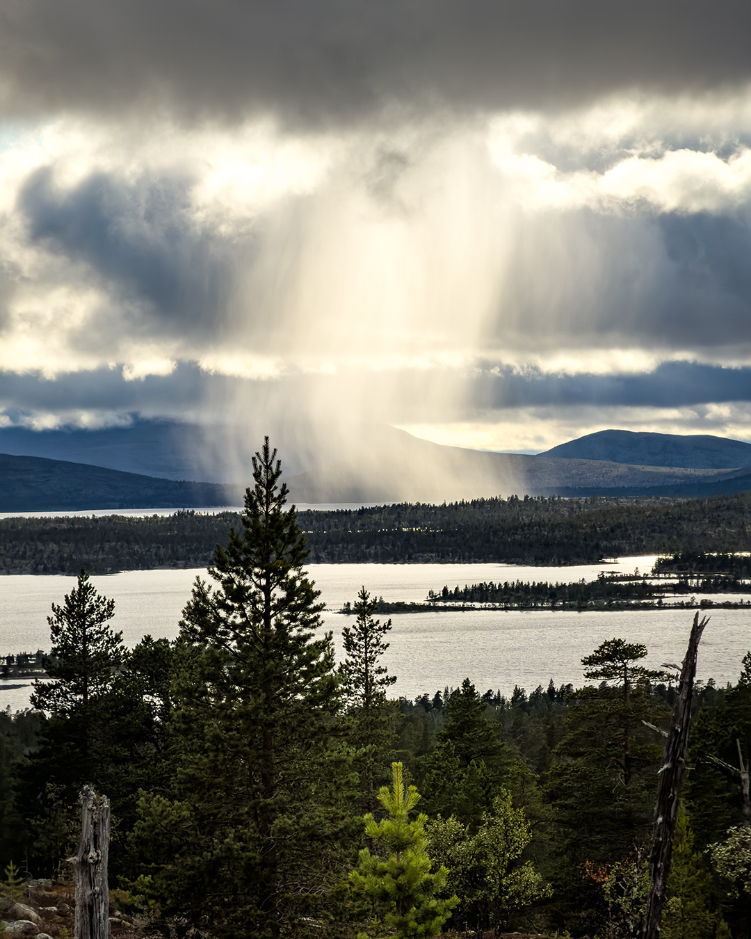 groena_bandet_018