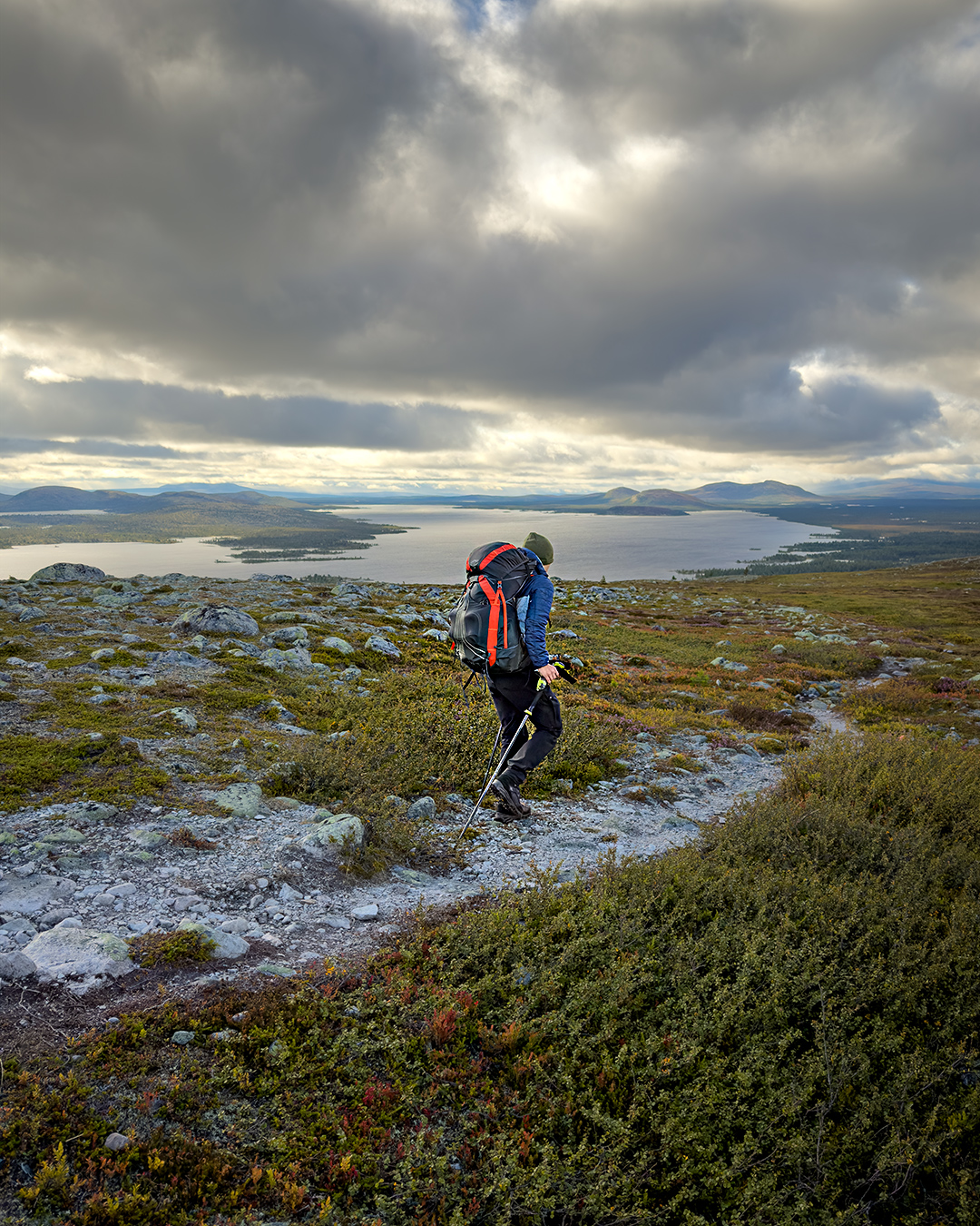 groena_bandet_019