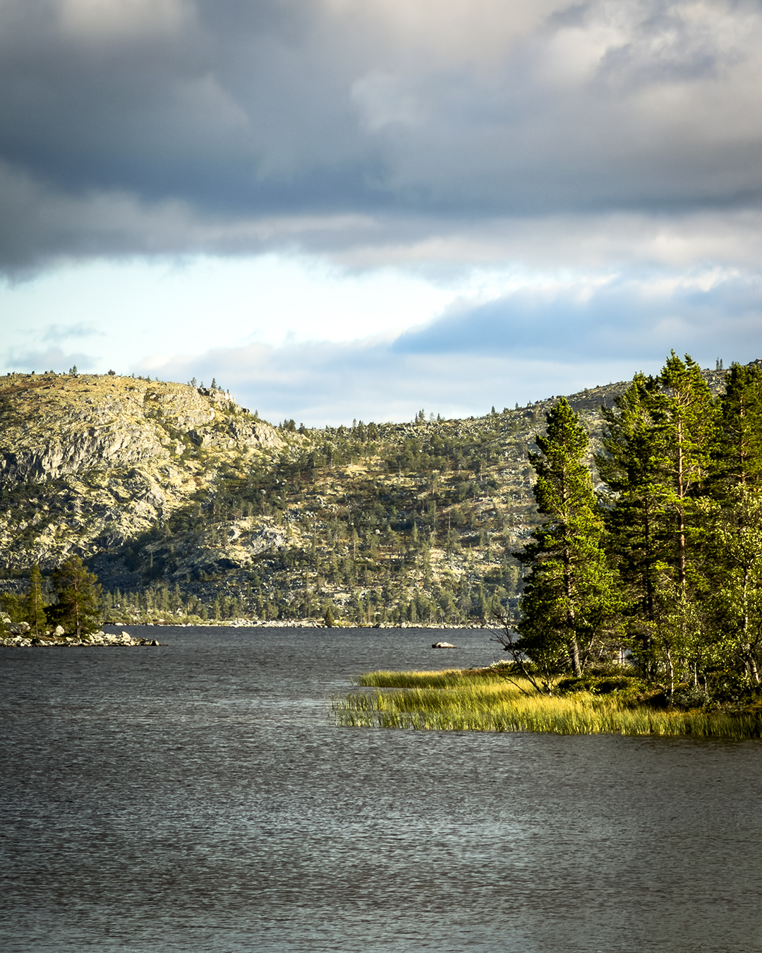 groena_bandet_021