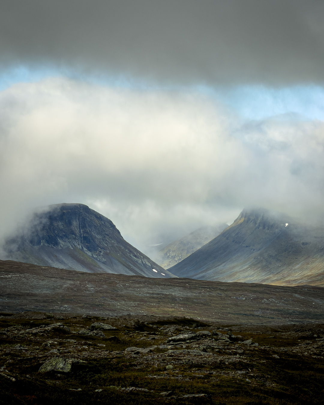 groena_bandet_024