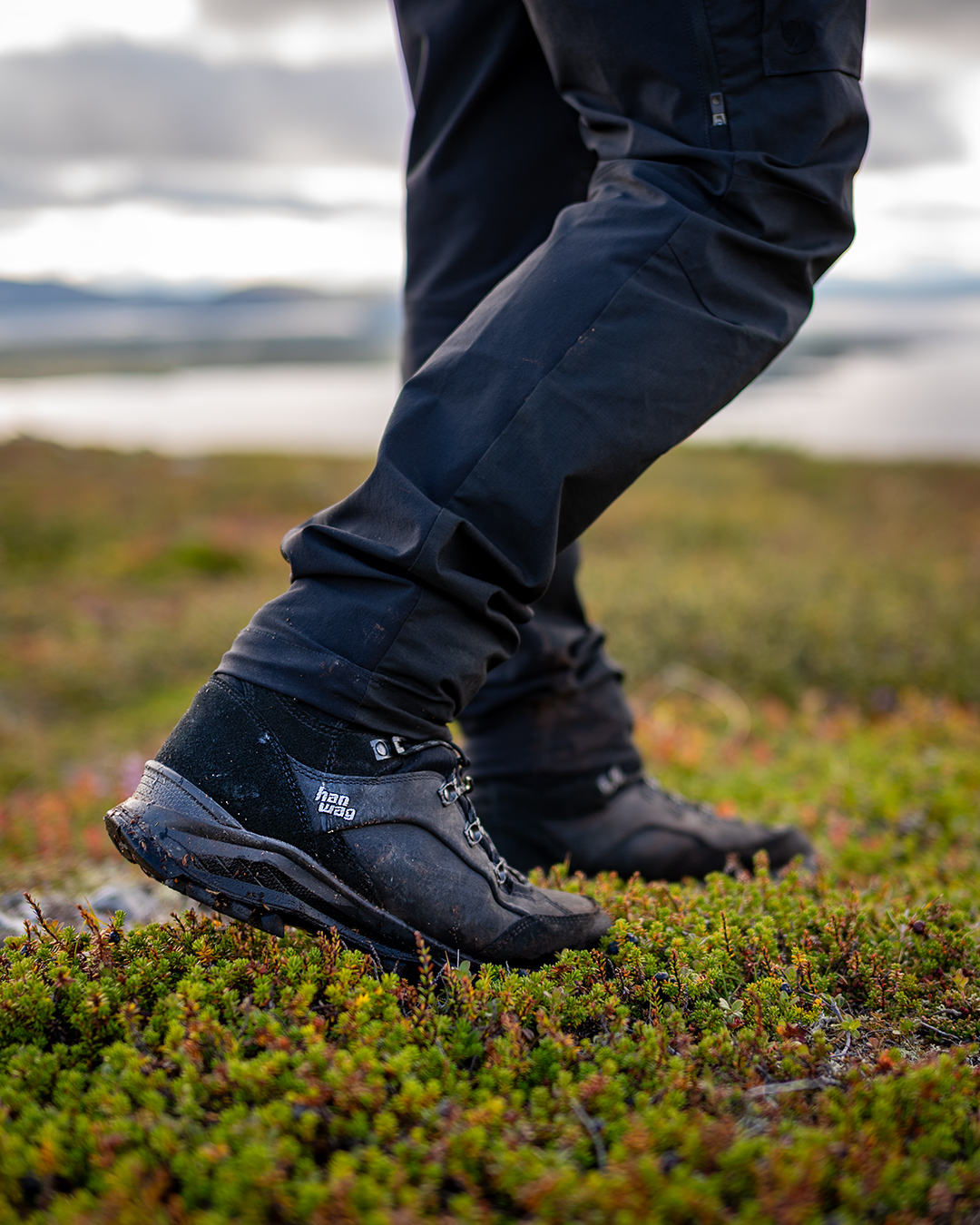 groena_bandet_028