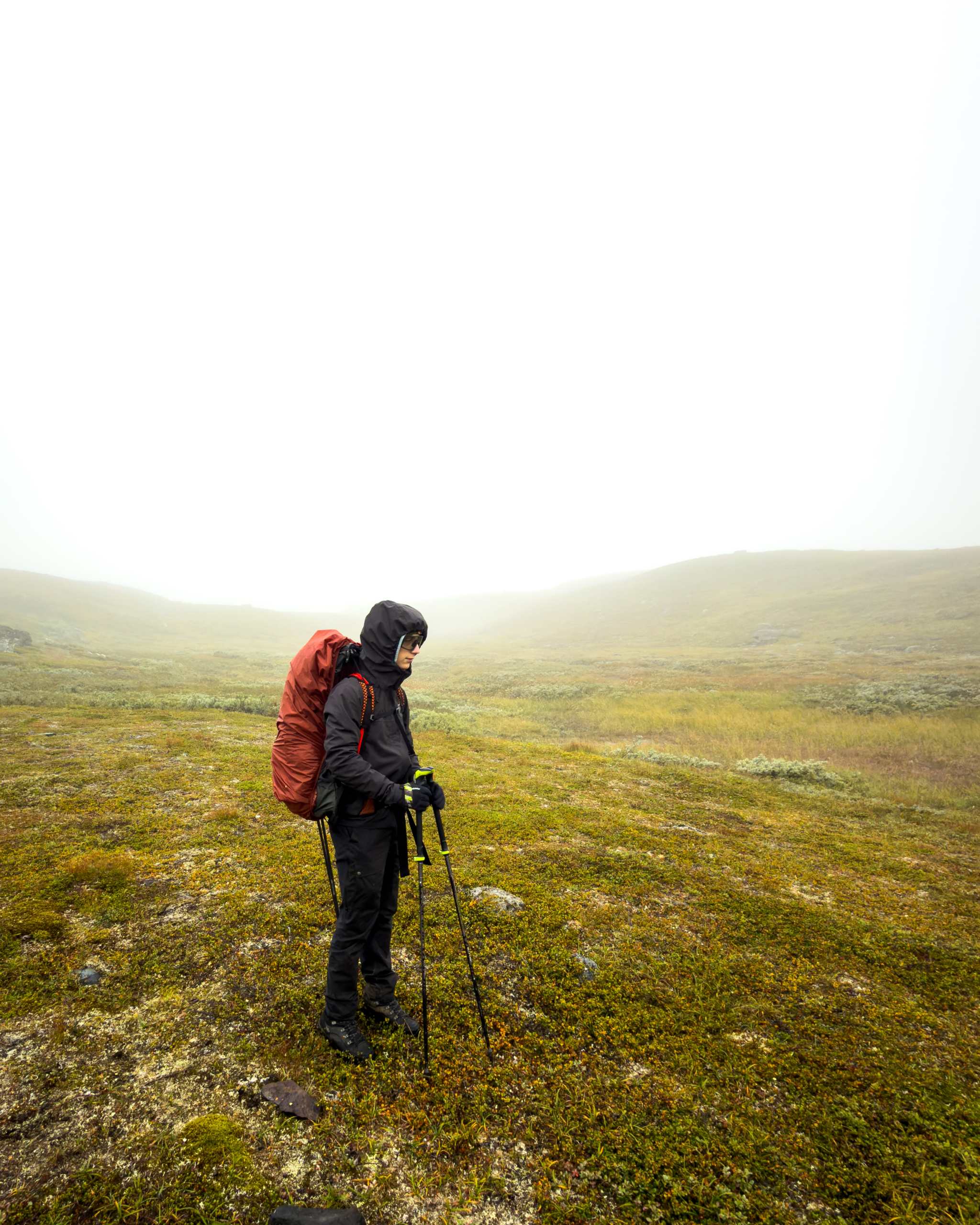 groena_bandet_030